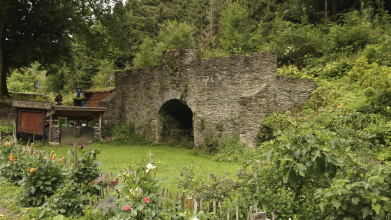 Rest der Walkmühle im Grünental bei Monschau
